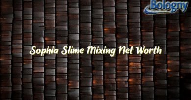 sophia slime mixing net worth 22156