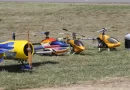 RC Model Helicopters