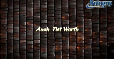 anahi net worth 22784