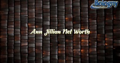 ann jillian net worth 22798