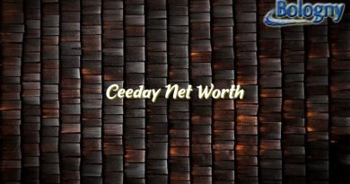 ceeday net worth 23039