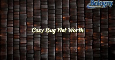 cozy bug net worth 23164