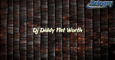 dj diddy net worth 23506