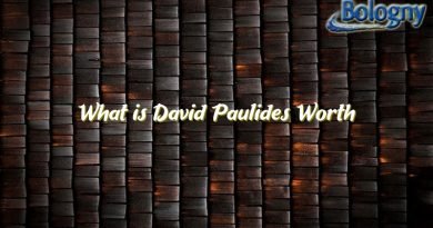 what is david paulides worth 23466