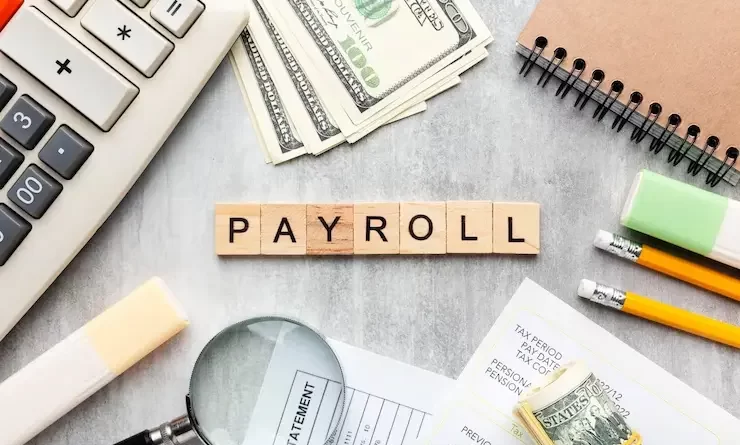 Expert Payroll Services Support and Efficiency