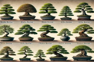 How Big Do Bonsai Trees Get A Comprehensive Guide to Bonsai Sizes and Care