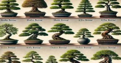 How Big Do Bonsai Trees Get A Comprehensive Guide to Bonsai Sizes and Care