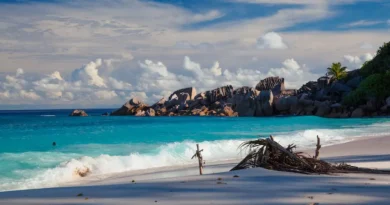 Why Coastal Getaways Are the Easiest Way to Recharge