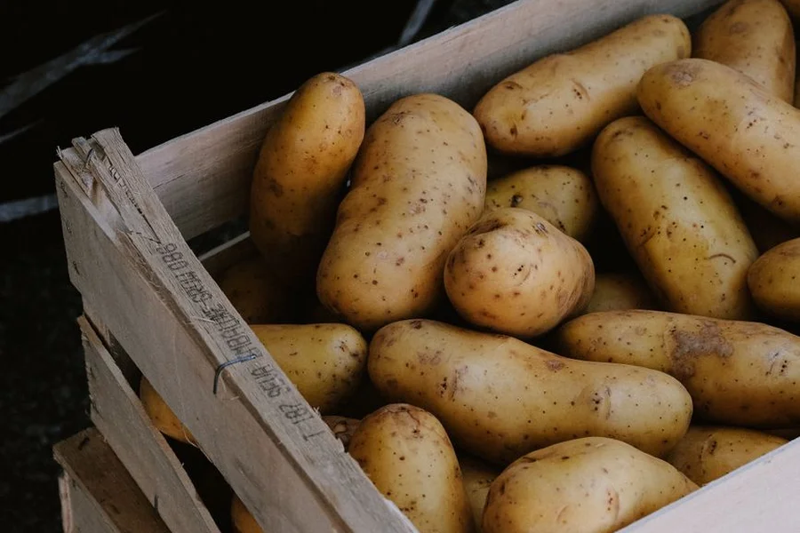 harvested fresh potatoes Freshly harvested potatoes stored in a rustic wooden crate
