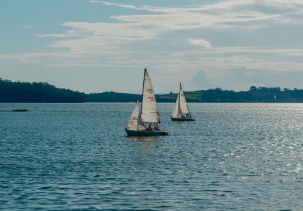 things to do in rutland