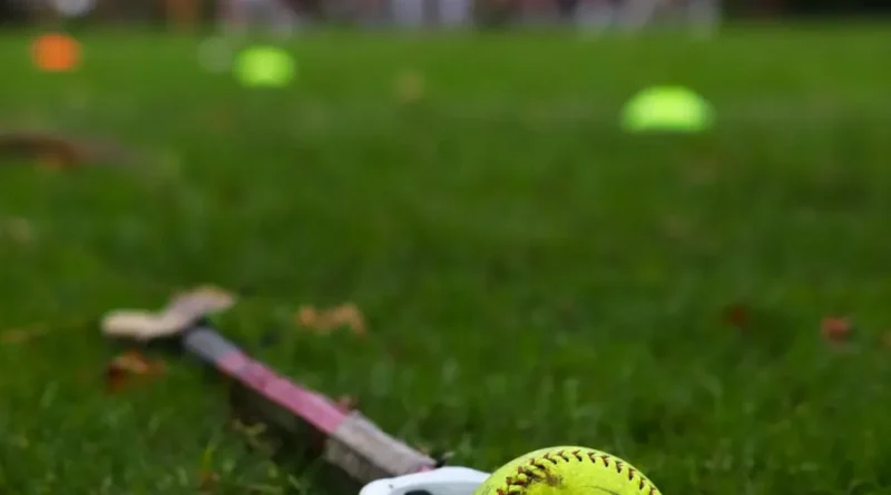 noz x lacrosse head gear noz x lacrosse head gear
